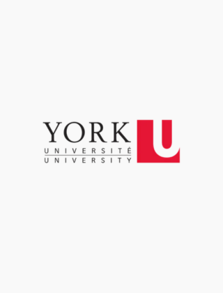 York University